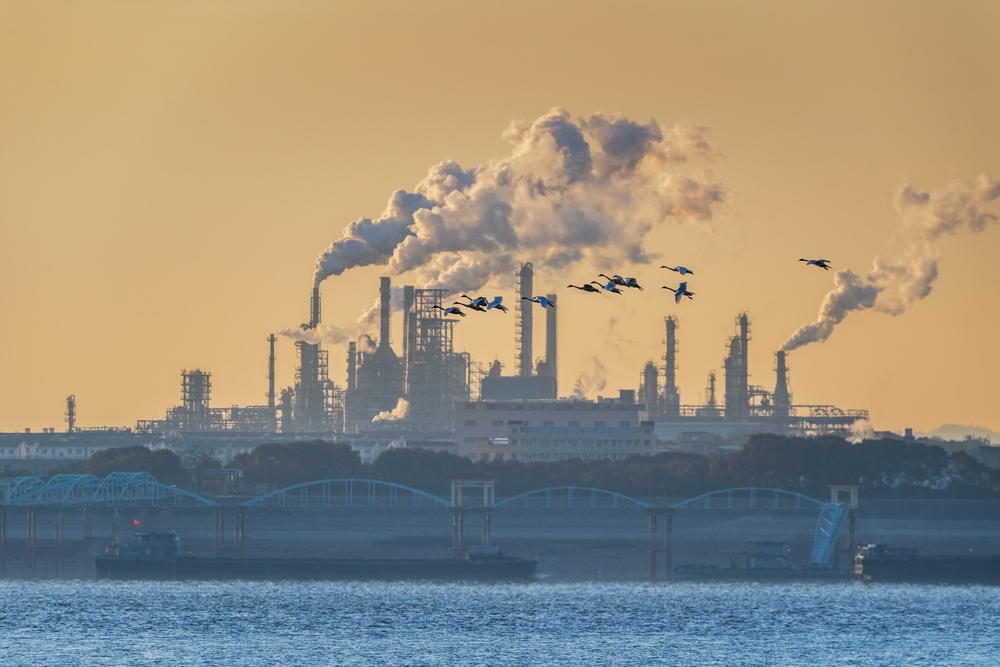 smog Istat emissioni