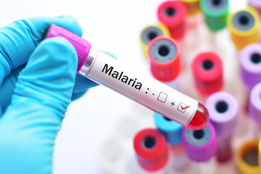 zanzara malaria puglia