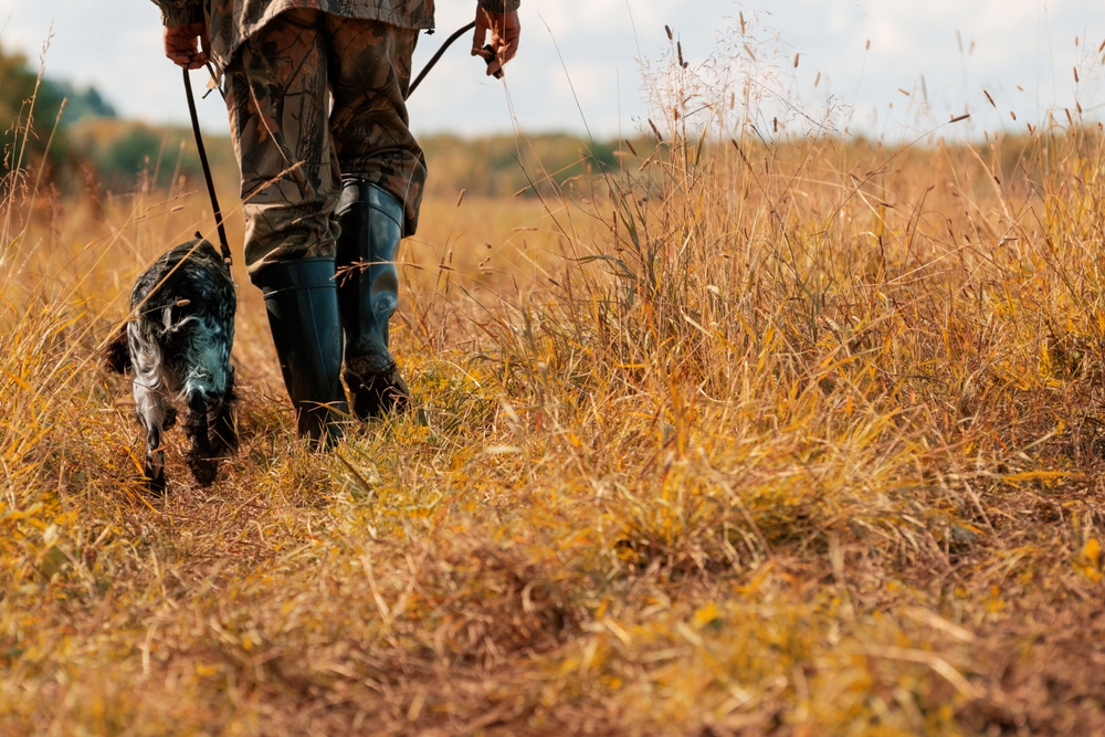 Legge Sparatutto Dl Agricoltura