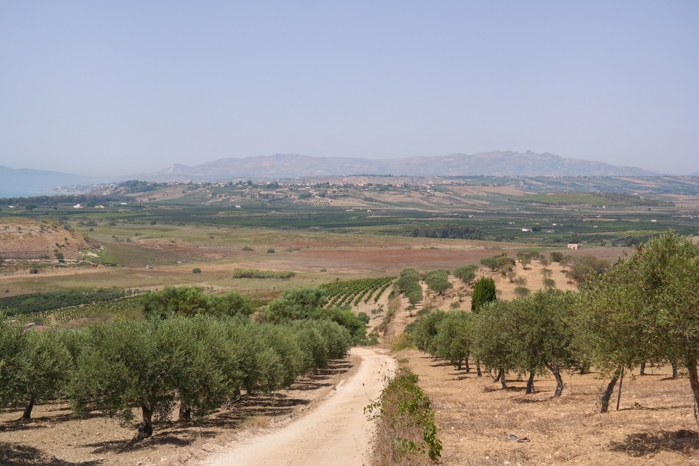 siccità Sicilia