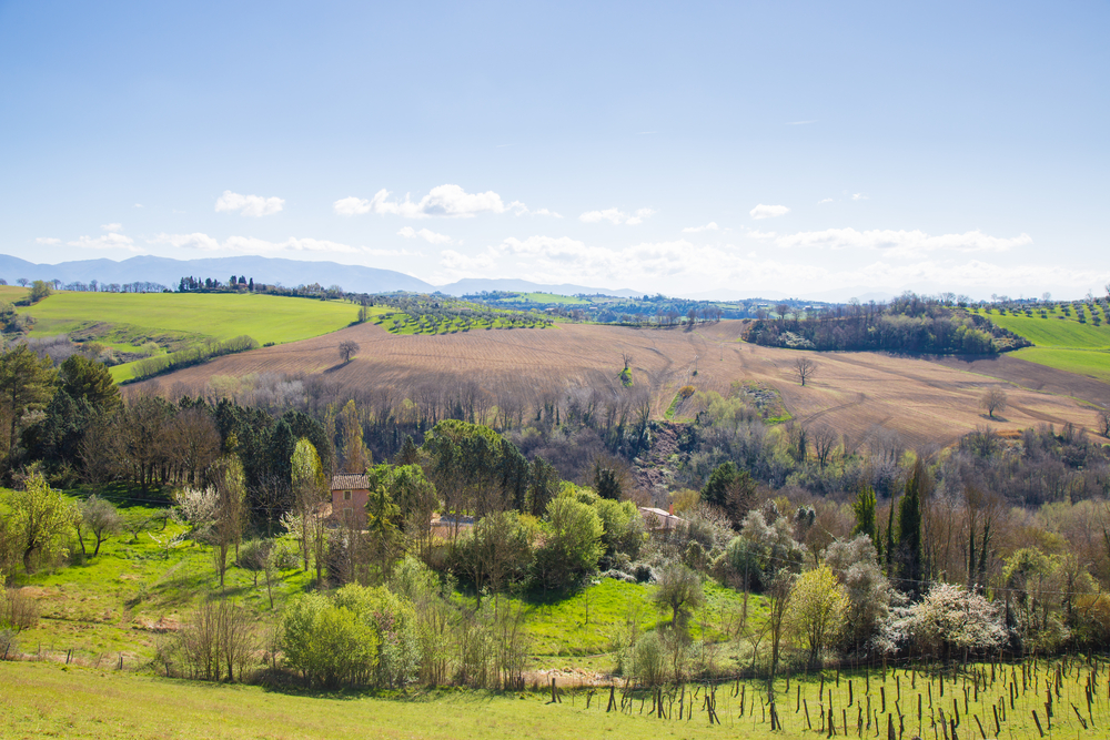 benessere animale agricoltura biologica