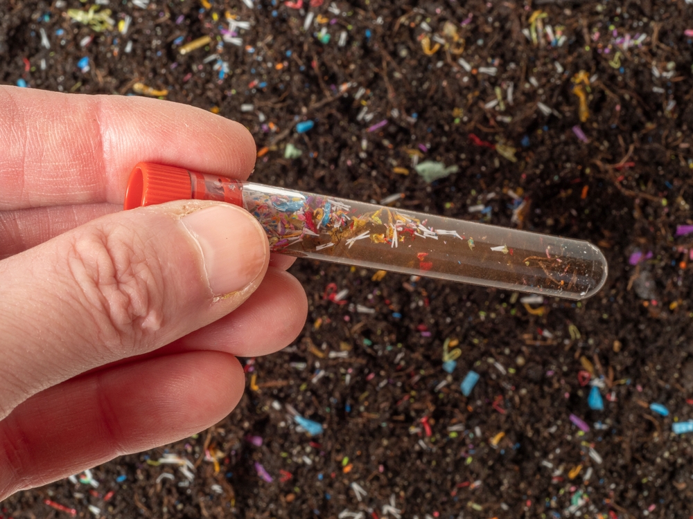 microplastiche