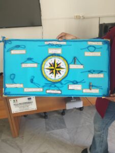 delfini guardiani