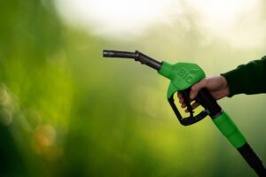 carburante rinnovabile