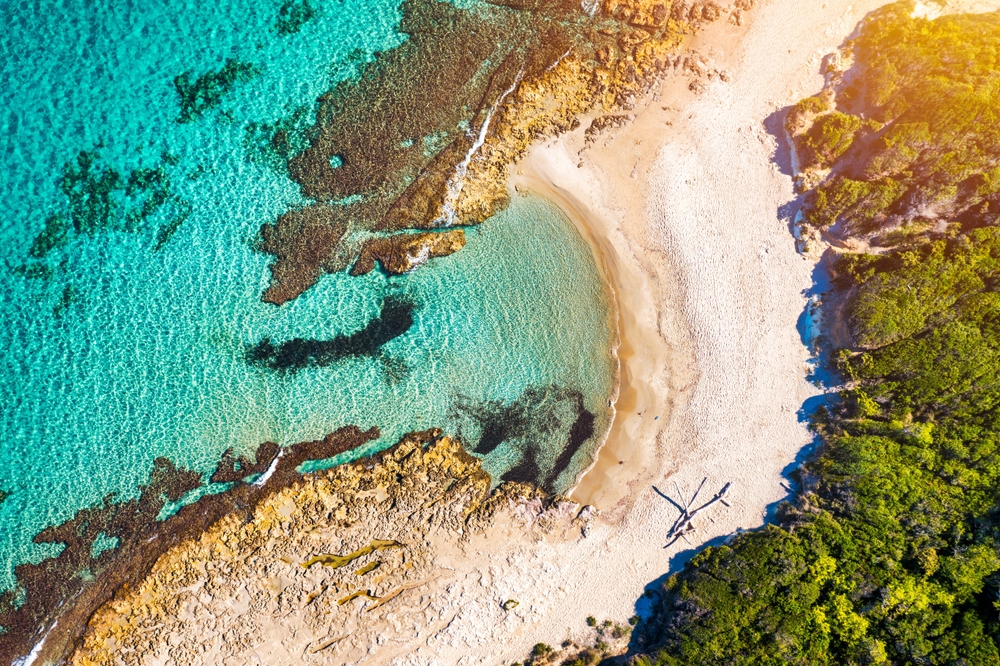 Puglia ddl costa