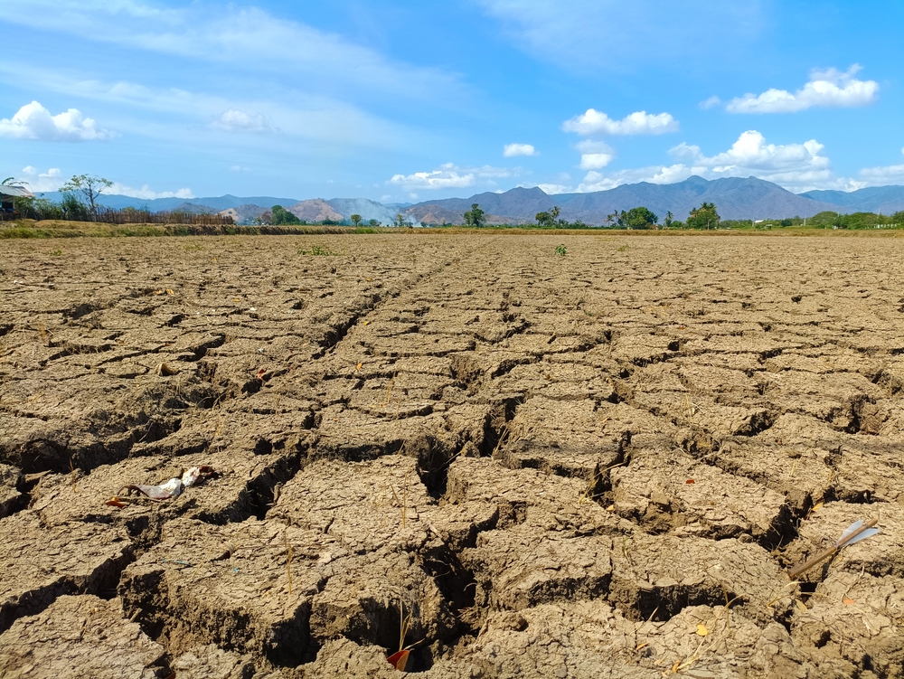 agricoltura siccità