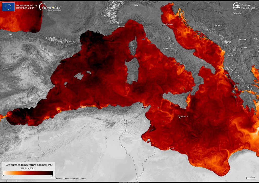 copernicus mediterraneo
