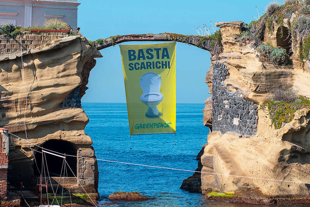 greenpeace