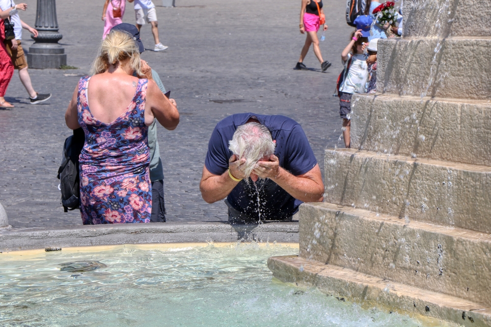 Roma caput caldo