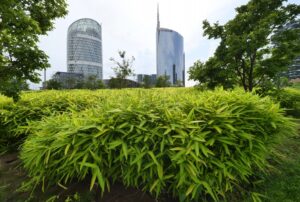 milano verde codacons