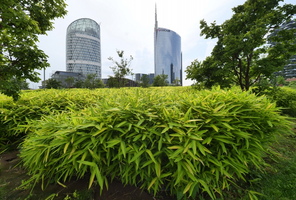 milano verde codacons