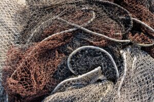 bycatch strage berte