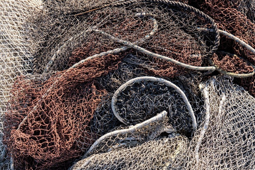 bycatch strage berte