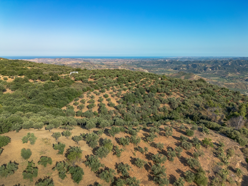Fieragricola Calabria