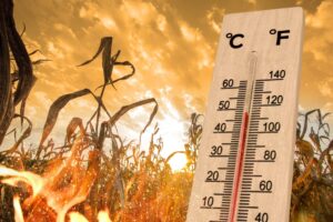 caldo Coldiretti