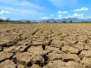 Desertificazione Geologi ambientali