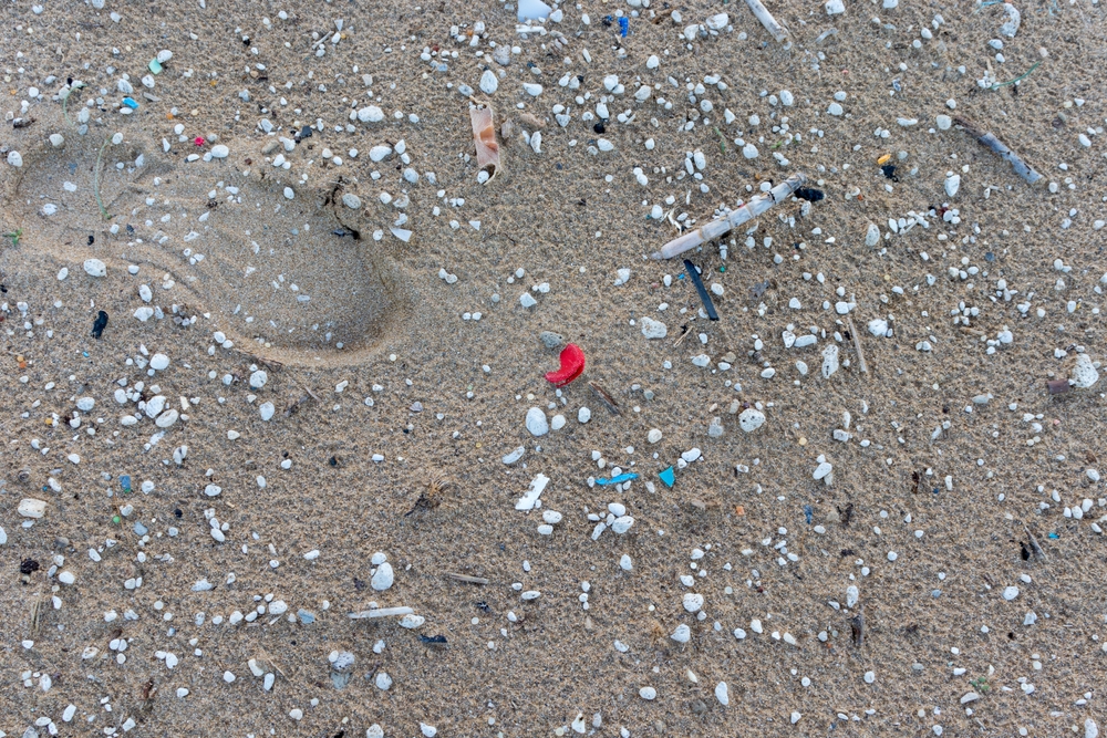 microplastiche