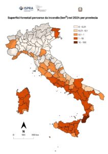 incendi boschivi