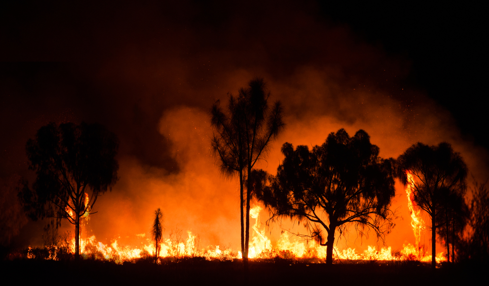 emergenza incendi legambiente