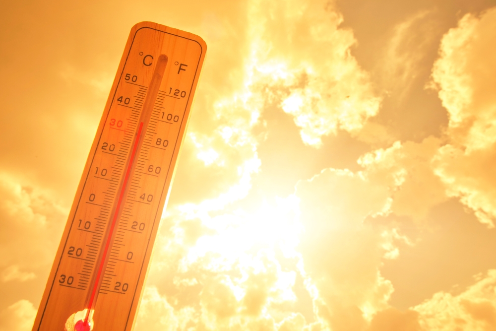 morti caldo scienziati