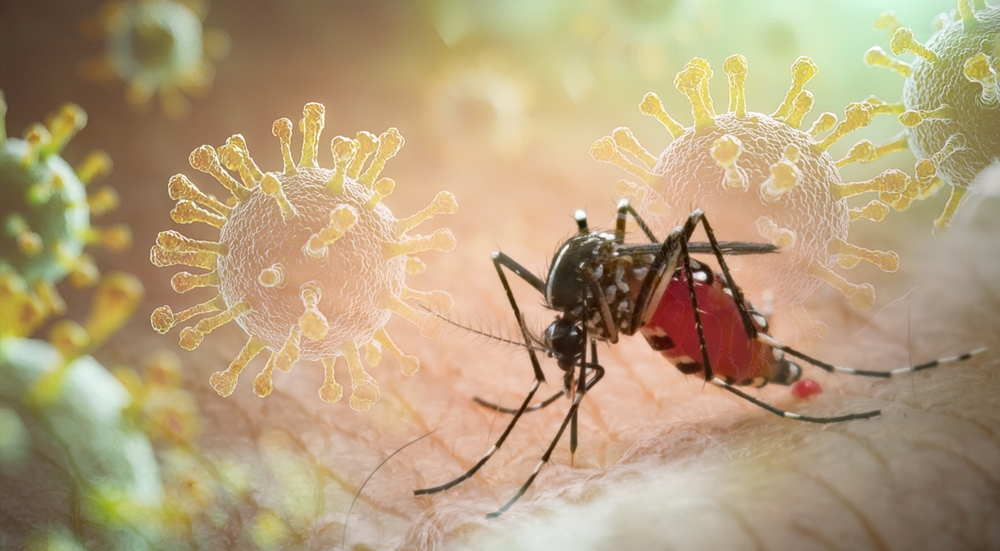 Dengue e Chikungunya