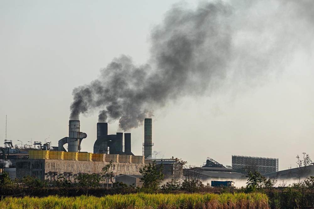 smog demenza
