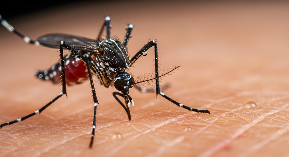 west nile iss