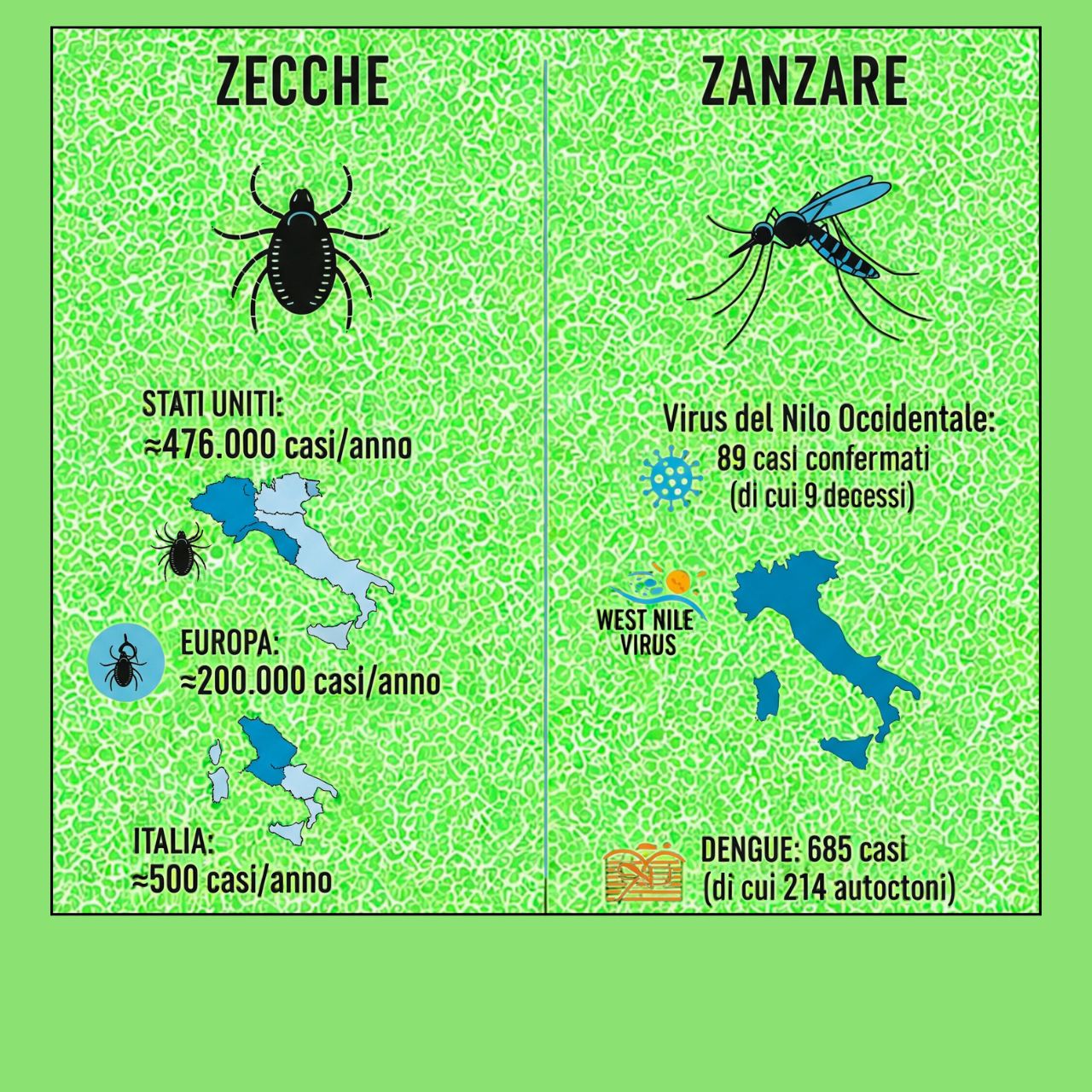 insetti vettori di malattie