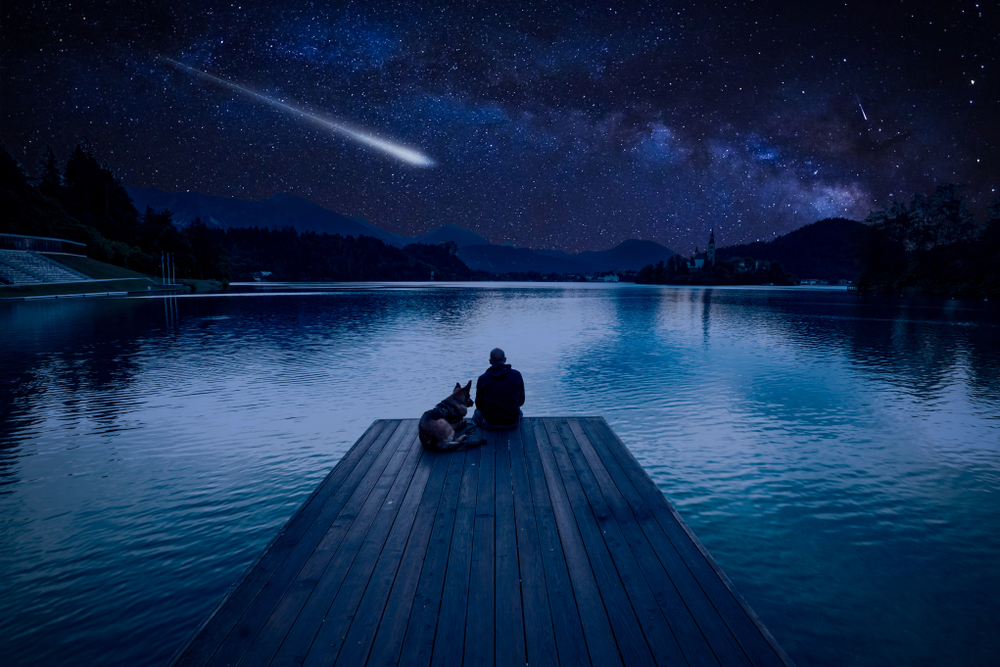 inquinamento luminoso stelle cadenti Perseidi 2025