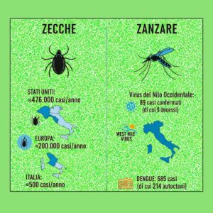 ZECCHE ZANZARE GRAFICO