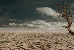 limiti ecologici
