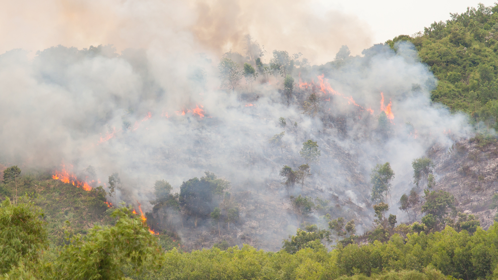 prevenzione incendi boschivi Toscana