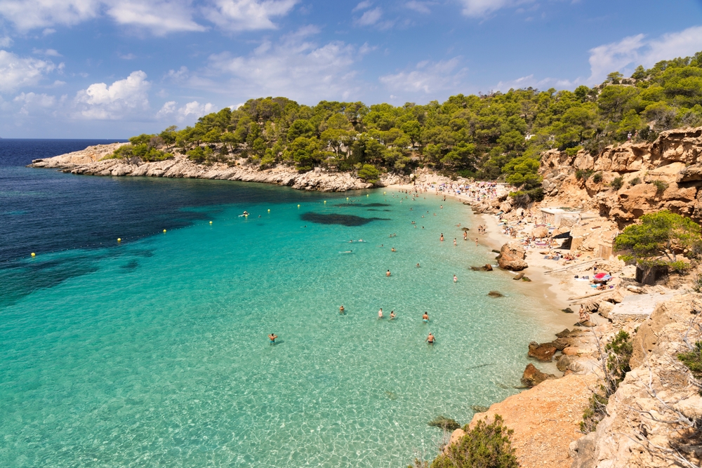 Ibiza serpenti giganti