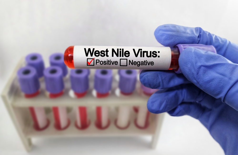West Nile contagi Lazio