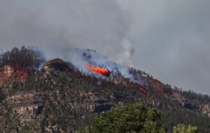 Incendi nelle aree protette