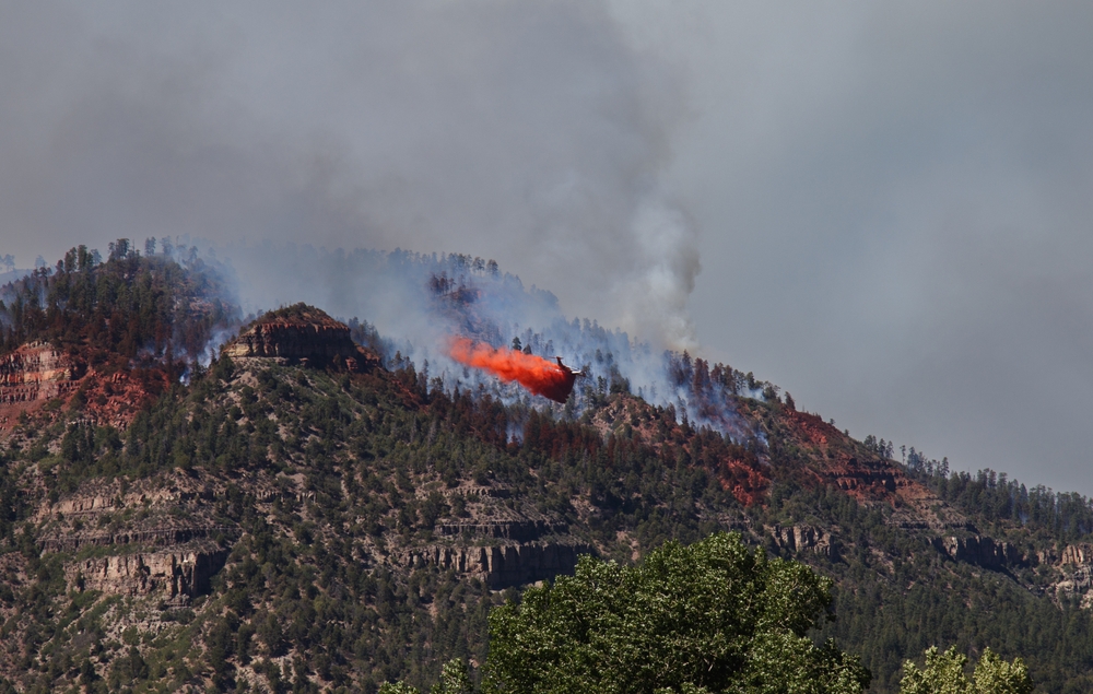 Incendi nelle aree protette