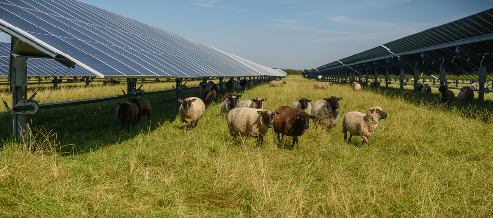 Emilia Romagna agrivoltaico