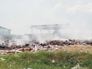 incendio Battipaglia diossine