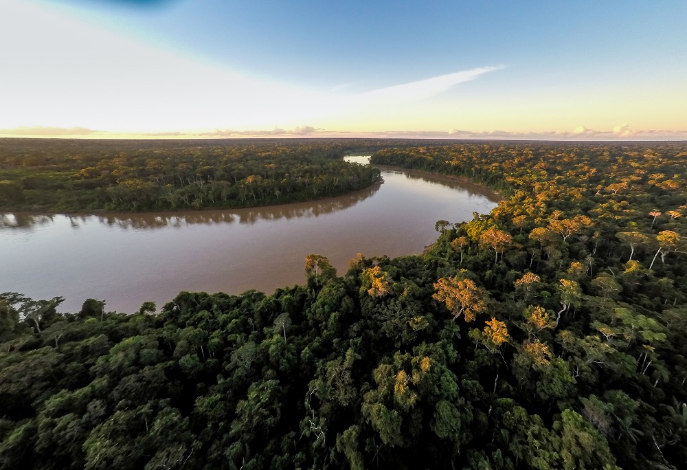 amazzonia wwf