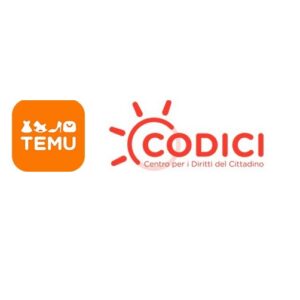 Codici Temu contraffazione