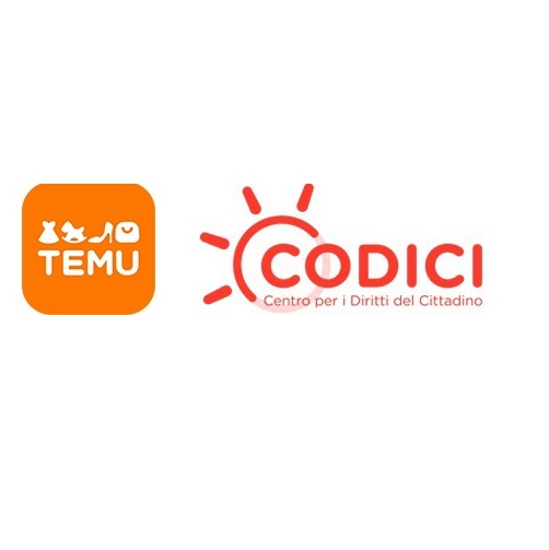 Codici Temu contraffazione