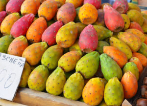 fichi d'india