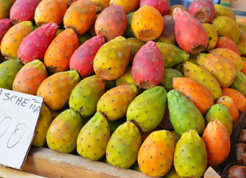 fichi d'india