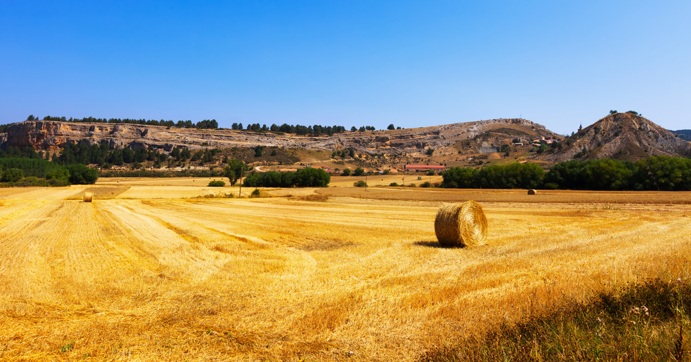 agricoltura accordo-ue-mercosur