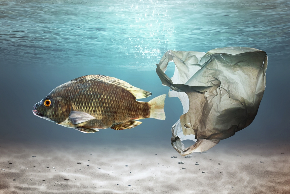 plastica nastro trasportatore inquinanti oceani