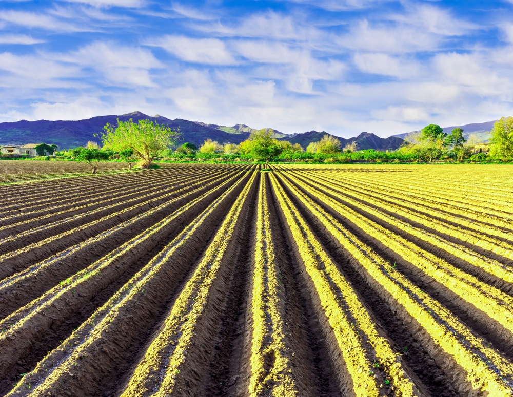 agricoltura semplificazione PAC