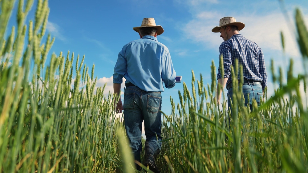 agricoltura Pac Ue