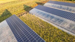 Celle solari plasmoniche