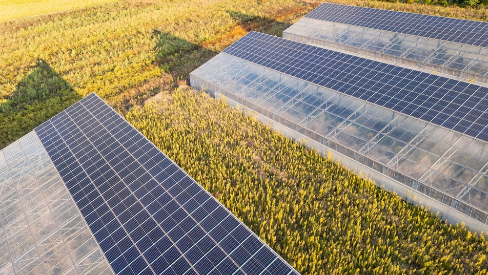 Celle solari plasmoniche