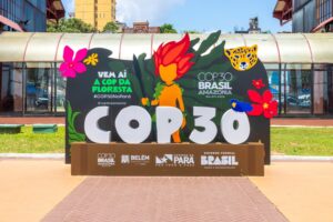 fondo TFFF foreste tropicali